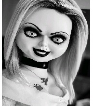 Guest_Barbie484210