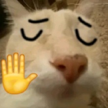 Guest_Tonii69