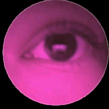 Guest_Ava234847