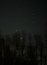 Guest_lex0000