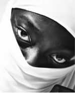 TheOnlyApe