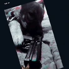 Guest_Avi568480