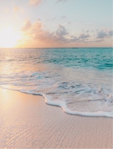 Guest_Abigail04394