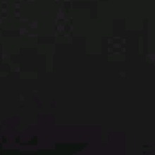 Guest_PutzaGI