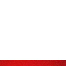 Guest_Yenifer293209