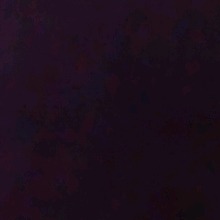 Guest_alizarincerulean64e5