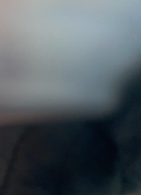 Guest_chloe875952