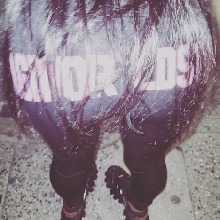 foto avatar