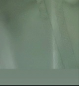 Guest_Naomi244