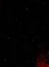 Guest_amir923871