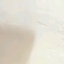 Guest_MUHAMMAD641