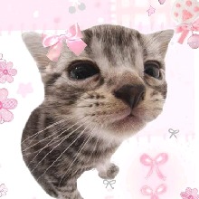 Guest_Angie858411