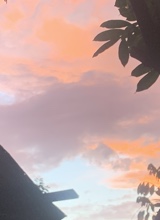 Guest_Skydibaddest