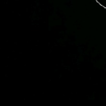Guest_Ropee