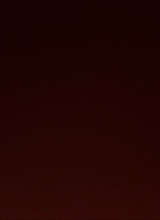 Guest_Tyren5
