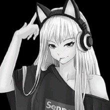 Guest_Japa509758