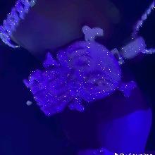 Guest_Harmonee19
