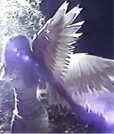 Guest_Themfkzy