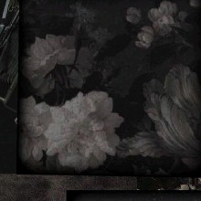 Guest_Lana183