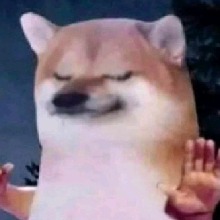 Guest_DOGPENSANTE