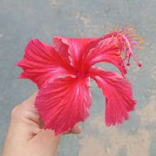 Guest_Jade17092002