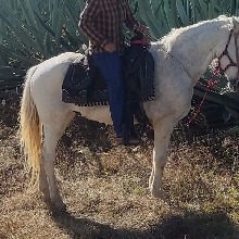 Guest_Isaac125620