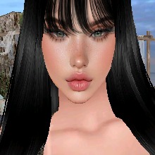 Guest_Alice332454