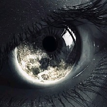 Guest_VixNyx