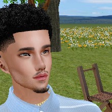 Guest_Austin532339