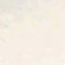 Guest_Isae15