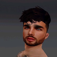 Guest_Andr426023