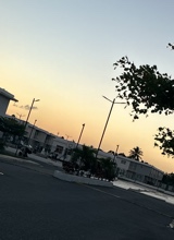 Guest_sarsela