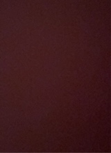 Guest_samking3