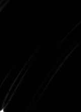 Guest_someone210