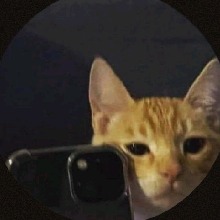 foto del avatar