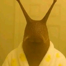 Guest_Albert000