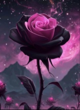 Guest_Rose250235