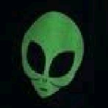 Guest_Thomas298902