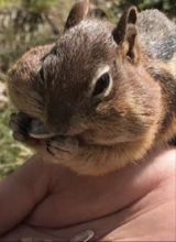 Guest_WitewawwyCool