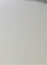 Guest_MariaAparecidaFujita