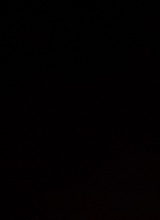 Guest_sinskin1