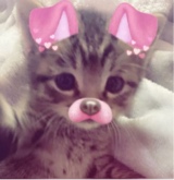 Guest_immy318368