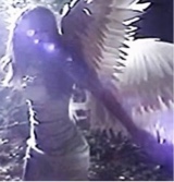 Guest_angel797704