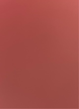 Guest_Babey8