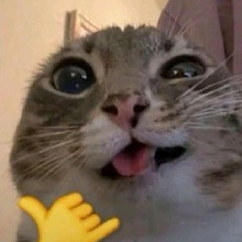 Guest_deliciousneonfuc3a58