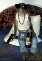 Guest_itsmaria