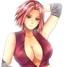 SAKURA53643