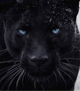Guest_Alana826787