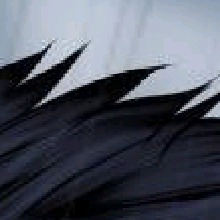 Guest_Trisshh