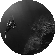 Guest_biu3dyn